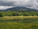 Featured Full Photo