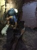 photo thumbnail #6