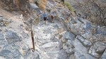 photo thumbnail #10
