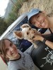 photo thumbnail #2