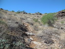 photo thumbnail #6
