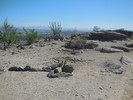 photo thumbnail #7