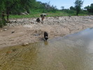 photo thumbnail #1