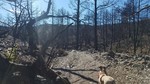 photo thumbnail #6