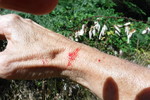 photo thumbnail #6