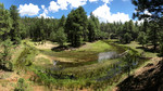 photo thumbnail #12