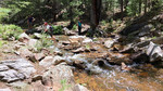 photo thumbnail #8