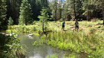 photo thumbnail #5
