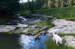 photo thumbnail #6