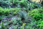 photo thumbnail #7