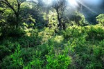 photo thumbnail #8