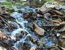 photo thumbnail #10