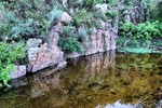 photo thumbnail #12
