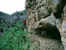 photo thumbnail #13