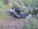 photo thumbnail #1