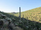 photo thumbnail #5