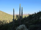 photo thumbnail #6