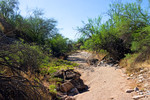 photo thumbnail #9