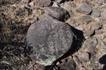 photo thumbnail #9