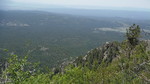 photo thumbnail #12