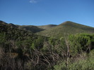 photo thumbnail #2