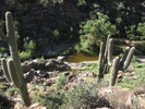 photo thumbnail #9