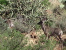 photo thumbnail #12