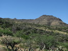 photo thumbnail #14
