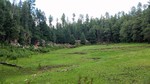 photo thumbnail #13