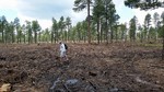 photo thumbnail #14