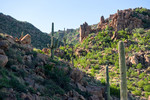 photo thumbnail #4
