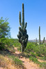 photo thumbnail #13