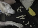 photo thumbnail #3