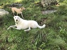 photo thumbnail #10