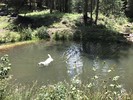 photo thumbnail #13