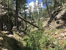 photo thumbnail #14