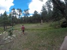 photo thumbnail #6