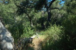 photo thumbnail #9