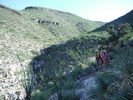 photo thumbnail #10