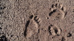 photo thumbnail #15
