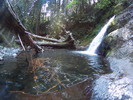 photo thumbnail #11