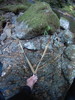 photo thumbnail #12