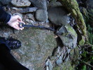 photo thumbnail #15