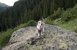 photo thumbnail #7