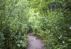 photo thumbnail #9
