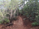 photo thumbnail #1