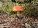 photo thumbnail #3