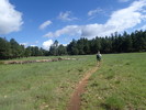 photo thumbnail #4