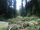 photo thumbnail #8