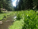 photo thumbnail #10